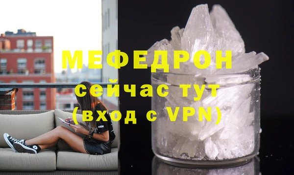 индика Инта
