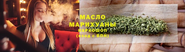 индика Инта