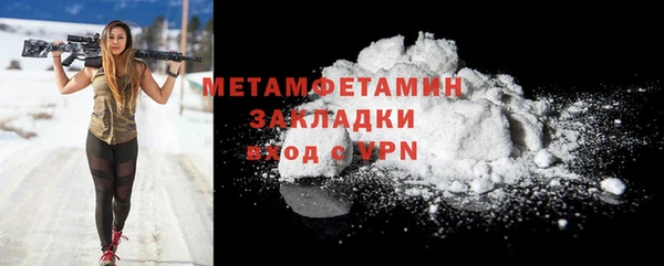 индика Инта
