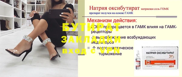 индика Инта