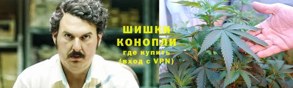 индика Инта