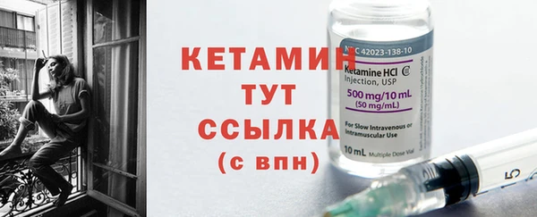 индика Инта