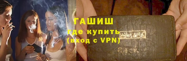 индика Инта