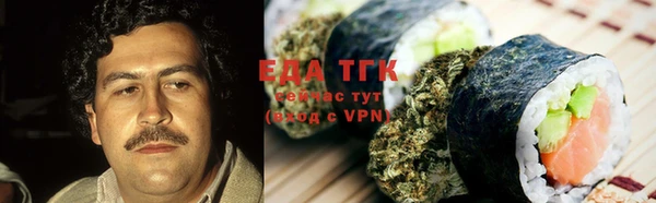 индика Инта