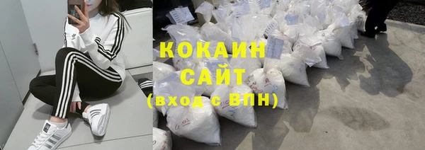 сатива Иннополис