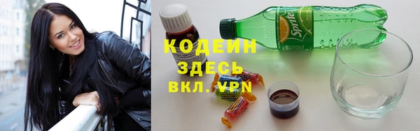 индика Инта