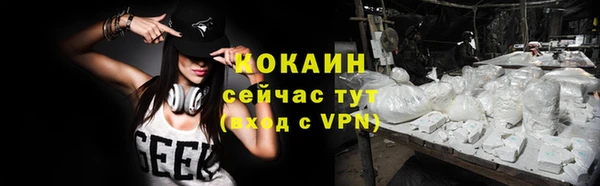 сатива Иннополис