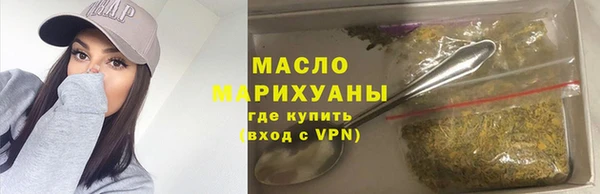 индика Инта