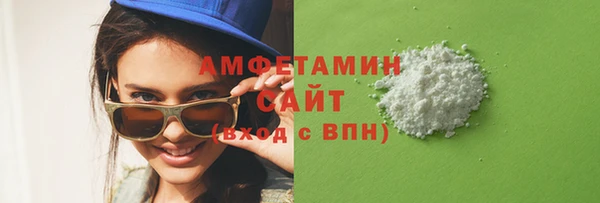 индика Инта