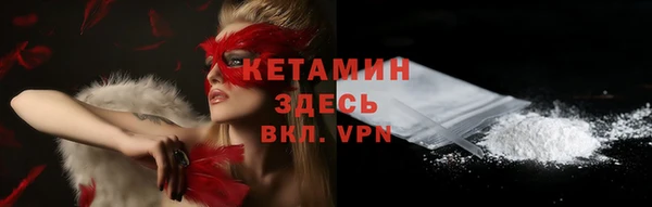 индика Инта