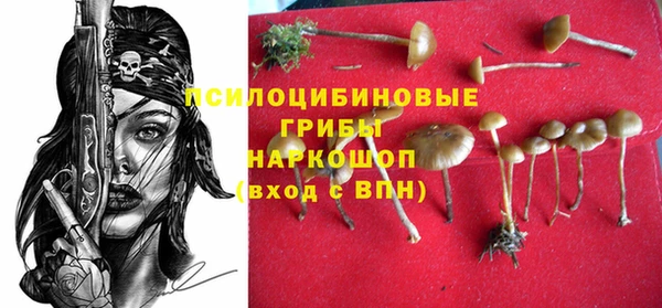 сатива Иннополис