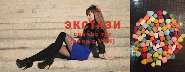 индика Инта