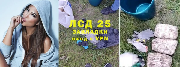 сатива Иннополис