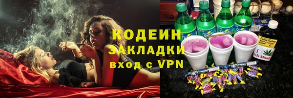 сатива Иннополис