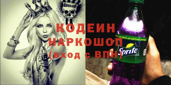 индика Инта