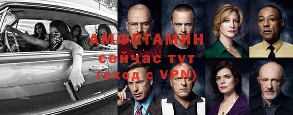сатива Иннополис