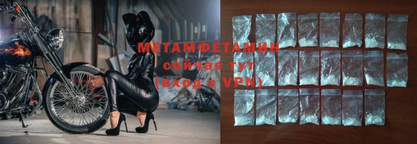 индика Инта