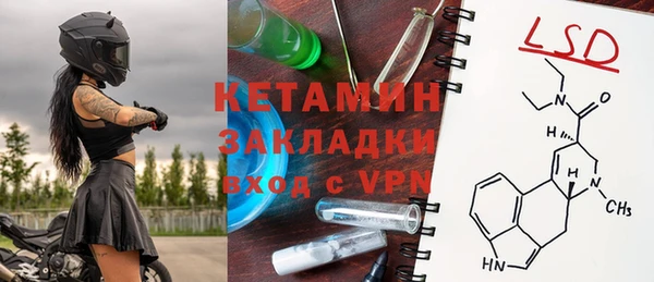 индика Инта