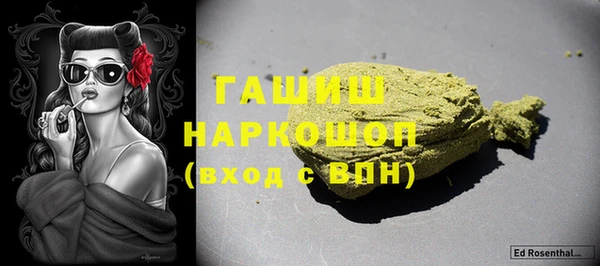 индика Инта
