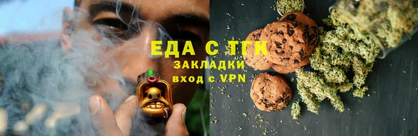 индика Инта