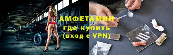 сатива Иннополис